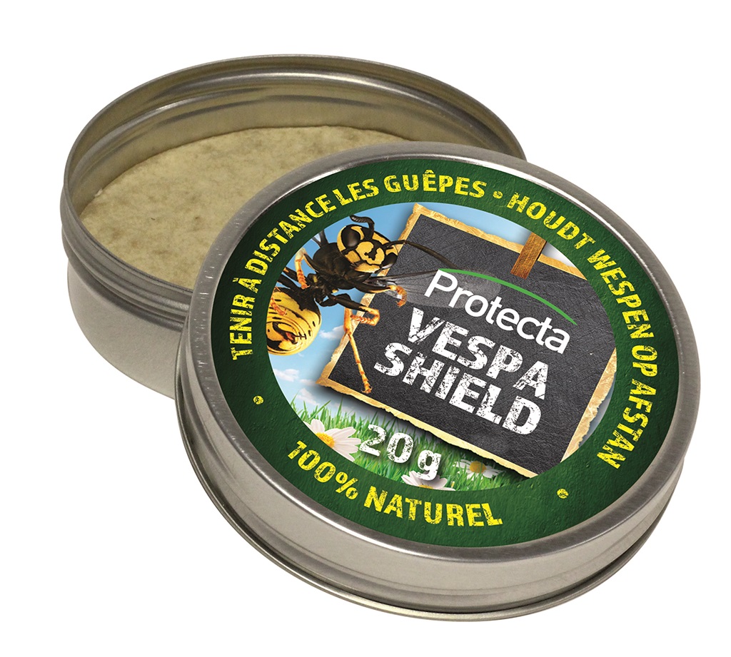 Vespa Shield 2st.