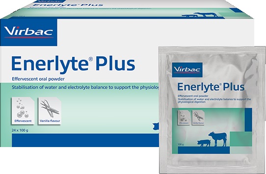 Enerlyte Plus 24x100g