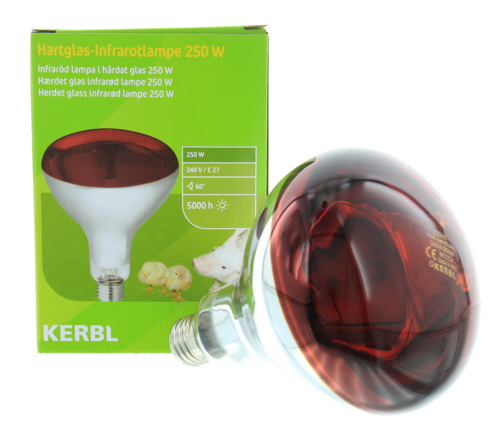Warmtelamp infrarood 250W rood