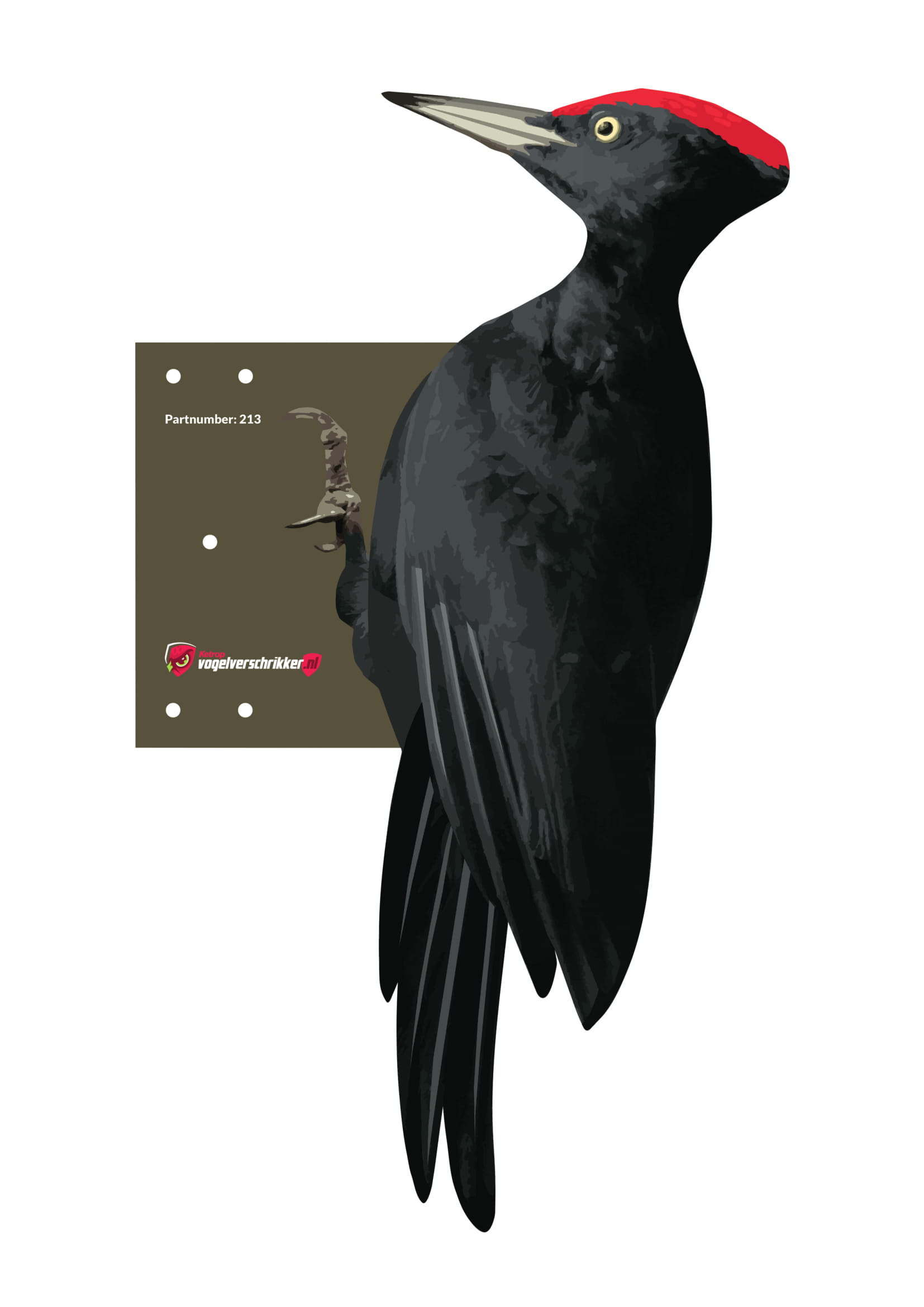 Zwarte specht, 52cm