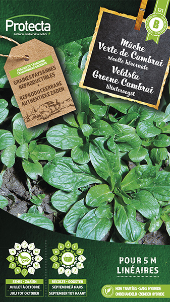 Veldsla Groene Cambrai