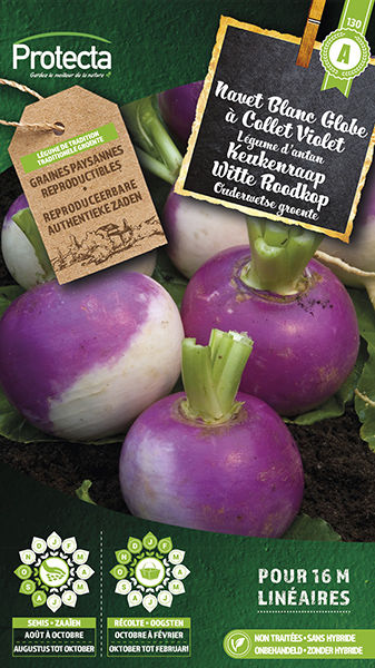 Keukenraap Witte Roodkop