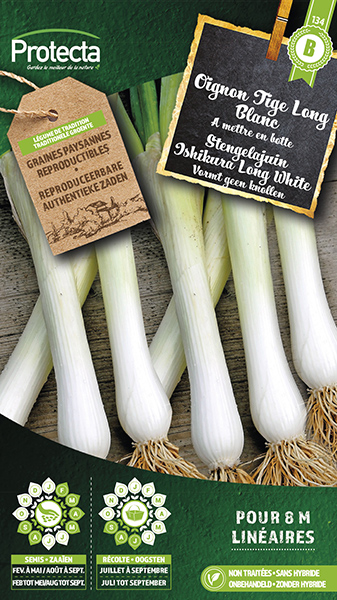 Stengelajuin Ishikura Long White