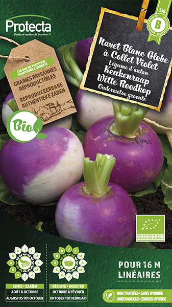 Keukenraap Witte Roodkop FR-BIO-15