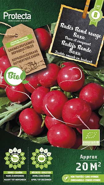 Radijs Ronde Rode Saxa 2 FR-BIO-15