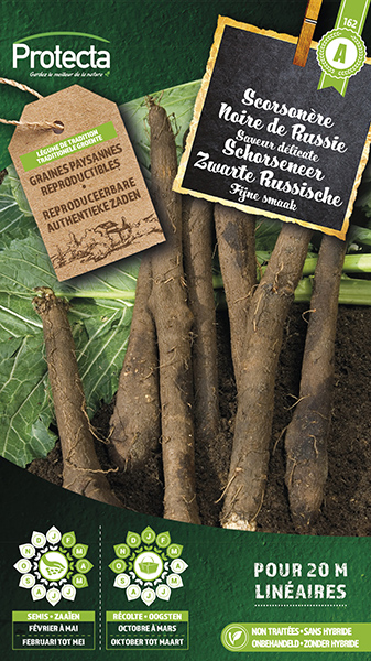 Schorseneer Zwarte Russische