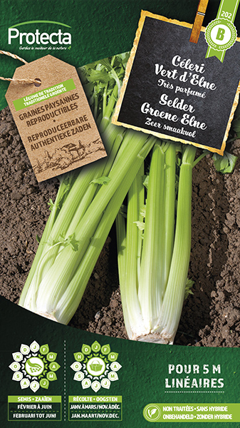 Selder Groene Elne