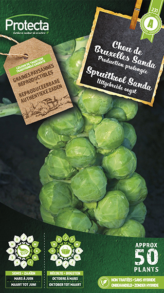 Spruitkool Sanda