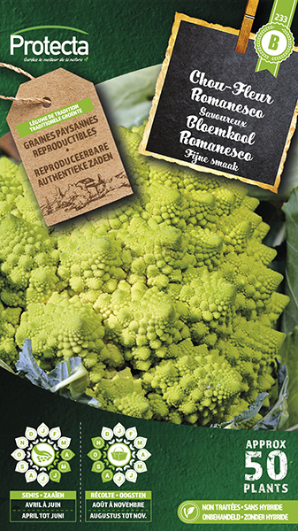 Bloemkool Romanesco