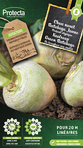 Koolraap Groen Rutabaga