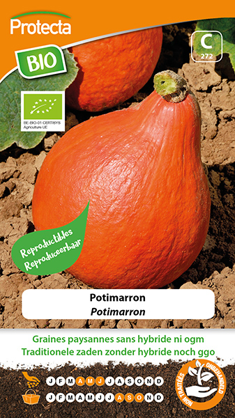 Potimarron FR-BIO-15