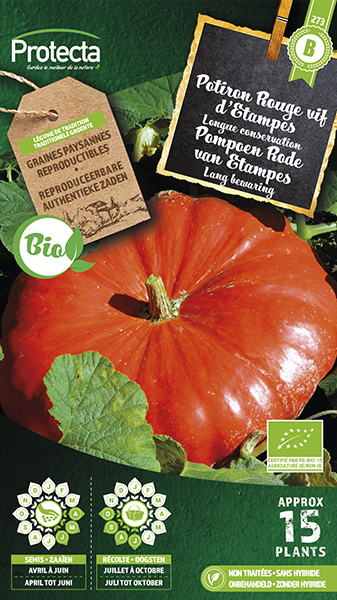 Pompoen Rod van Etampes FR-BIO-15