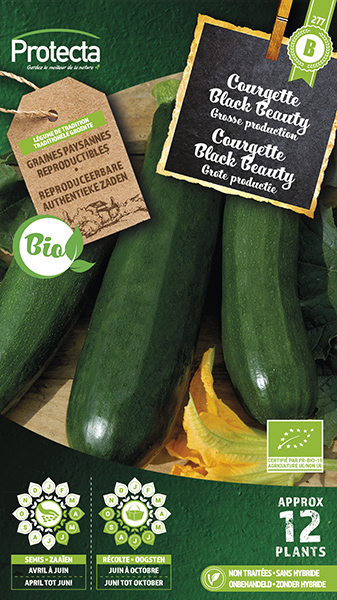 Courgette Black Beauty FR-BIO-15