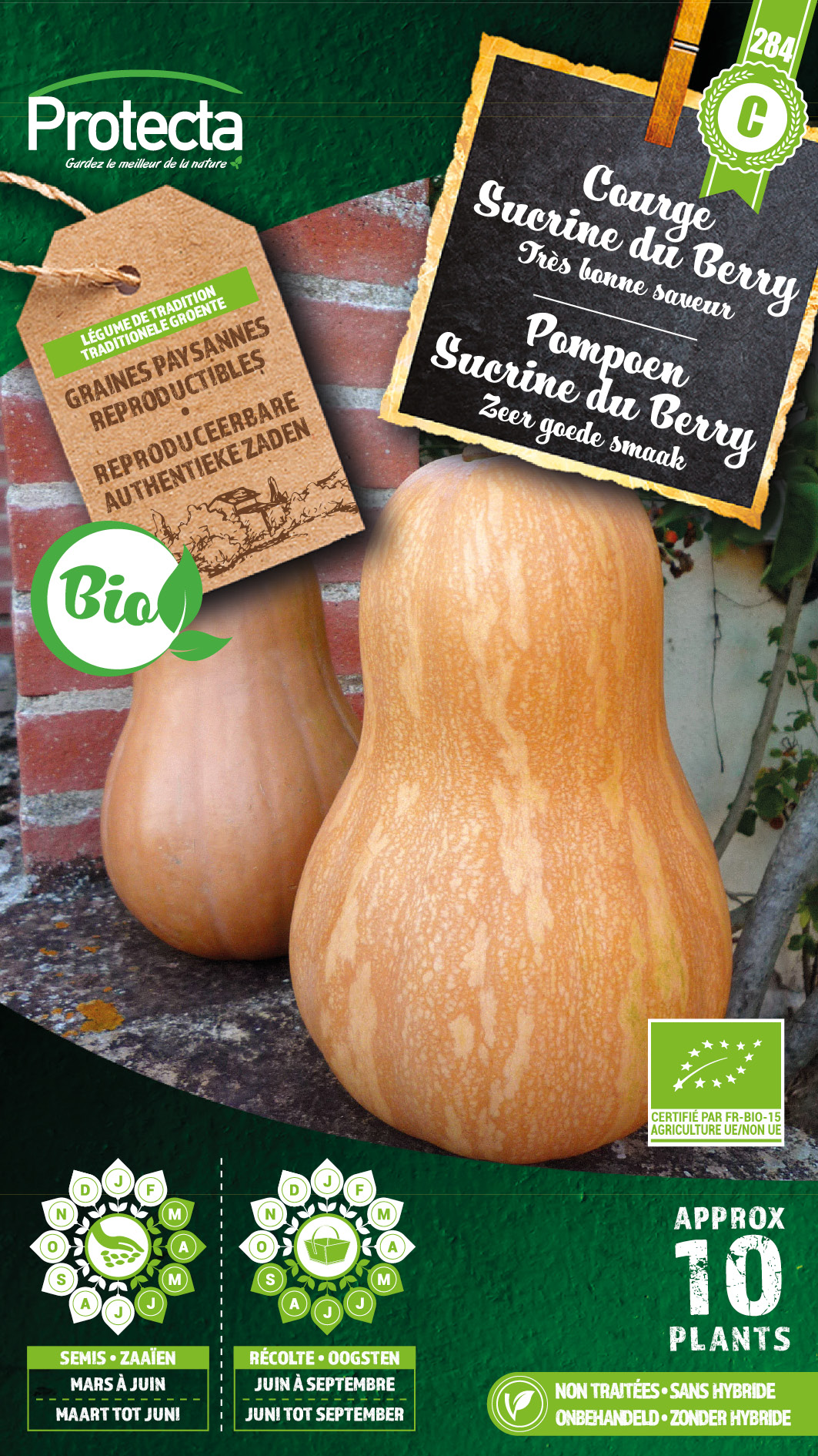 Pompoen Sucrine du Berry FR-BIO-15