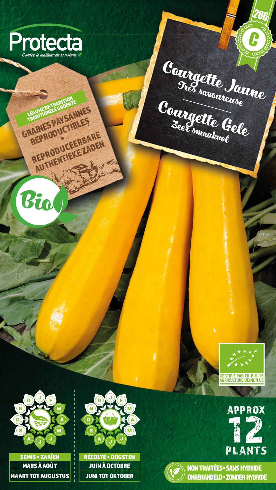 Courgette Gele FR-BIO-15