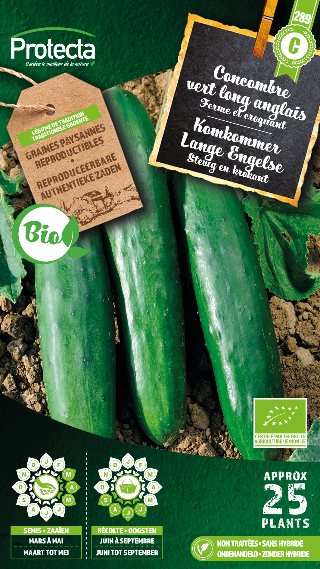 Komkommer Lange Engelse FR-BIO-15