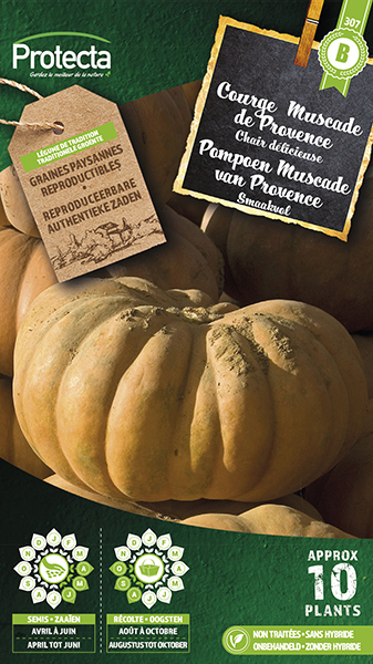 Pompoen" Muscade de Provence"
