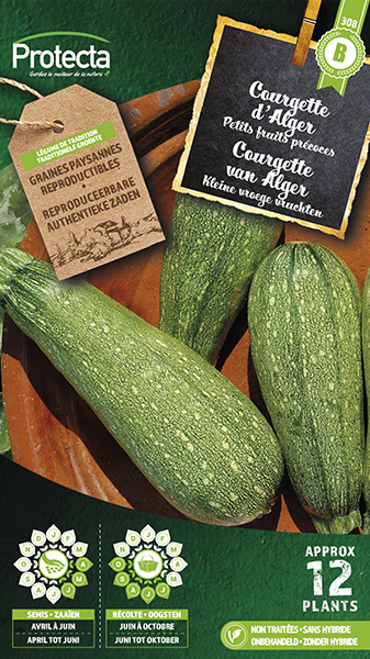 Courgette kleine groene van Alger