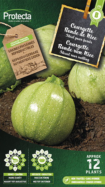 Courgette Ronde van Nice
