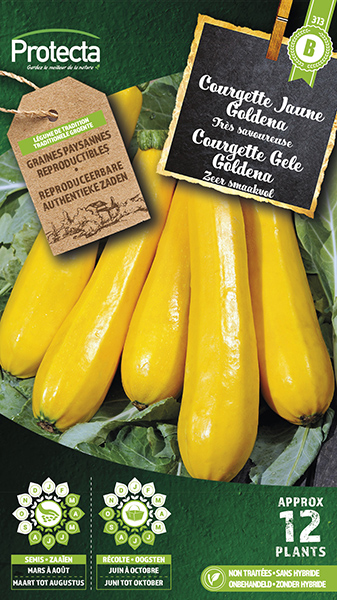Courgette Gele