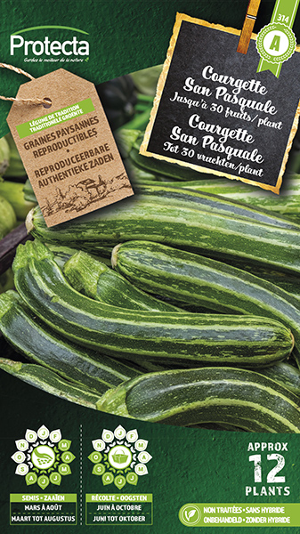 Courgette San Pasquale