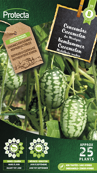 Cucamelon Mexicaanse komkommer