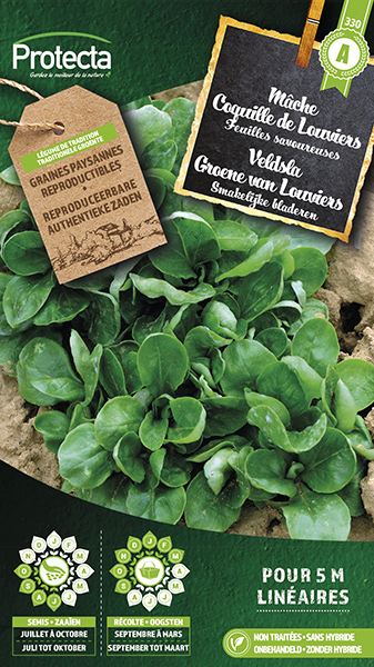 Veldsla Groene van Louviers