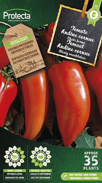 Tomaat "Andine cornue"