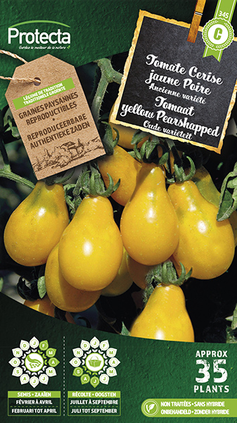 Tomaat yellow Pearshapped