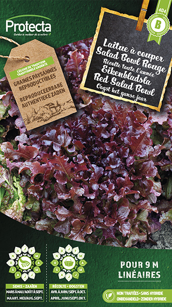 Eikenbladsla Rode Salad Bowl