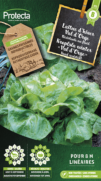 Kroplsla winter" val d'Orge"