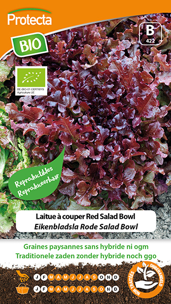 Eikenbladsla Rode Salad Bowl FR-BIO-15