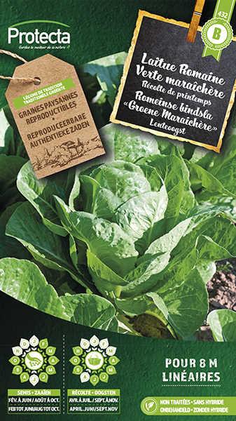 Romeinse bindsla "Groene Maraichre"