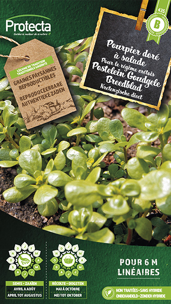 Postelein Goudgele Breedblad