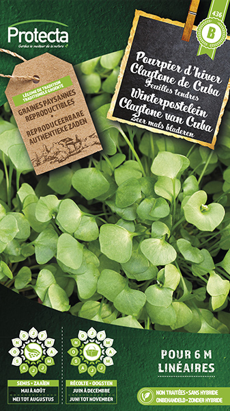Claytone van Cuba, winterpostelein