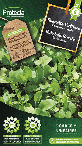 Raketsla Rucola