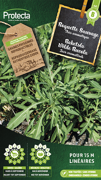 Raketsla Wilde Rucola