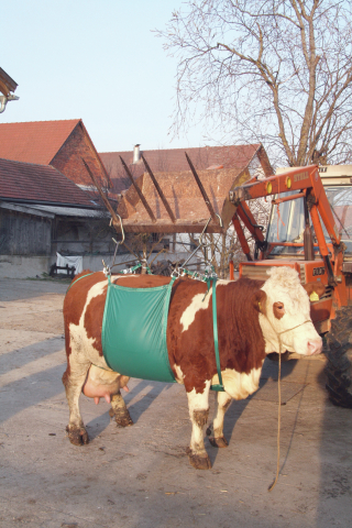 Koelift compleet