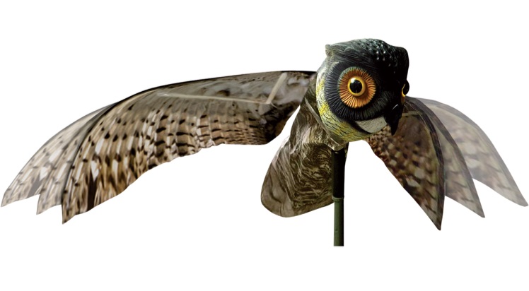 Oehoe Prowler Owl/uil, spanwijdte 100cm