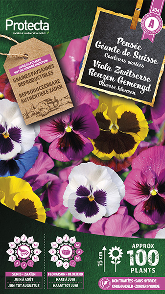 Viooltje Zwitserse Reuzen Gemengd