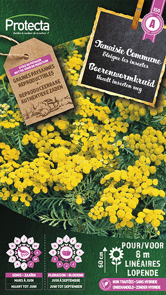 Boerenwormkruid