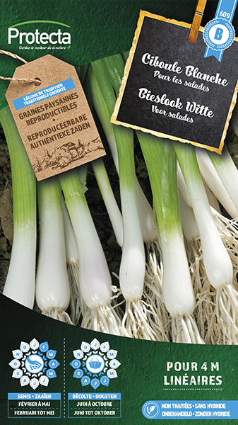 Bieslook Witte