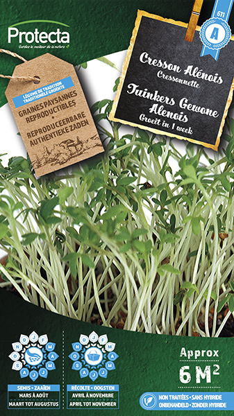 Tuinkers Gewone Alenois