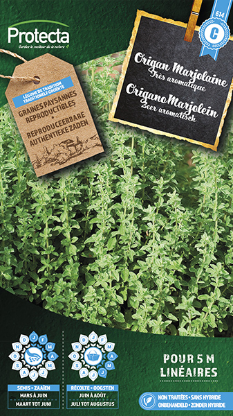 Origano Marjolein