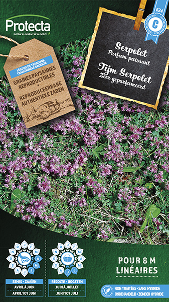 Tijm "Serpolet"