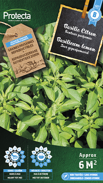 Basilicum lemon