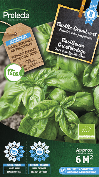 Basilicum Grootbladige FR-BIO-15