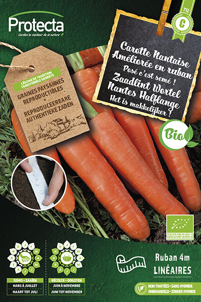 Wortel van Nantes Zaadlint BE-BIO-01