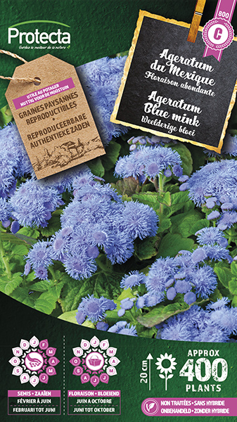 Agertum blue mink