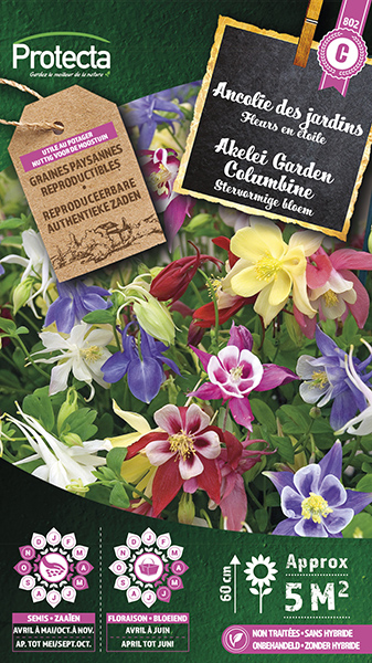 Akelei Garden Columbine